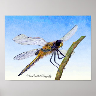 Poster de Aquarela de Dragonfly Chaser de Quatro P