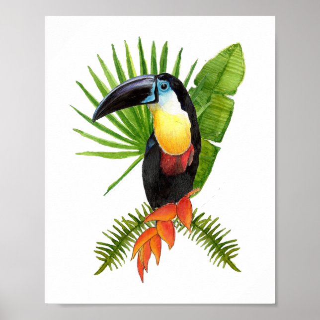 Poster de aquarela tropical tucana (Frente)