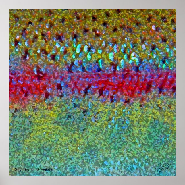 Poster de Arco Arco-Íris Muito Grande (Frente)