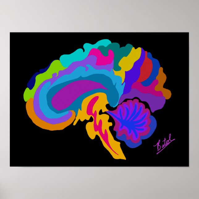 Poster de arte cerebral preenchida a cores (Frente)