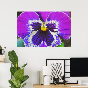 Poster de Arte com Flor Puro