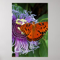 Poster de Arte da Frente do Golfo - 24x36 - outros