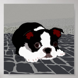 Poster de Arte de Parede de Boston Terrier Stone