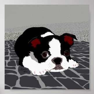 Poster de Arte de Parede de Boston Terrier Stone