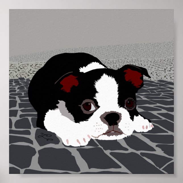 Poster de Arte de Parede de Boston Terrier Stone (Frente)