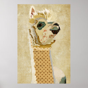 Poster de Arte Dourada Retro Alpaca