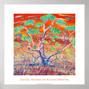 Poster de Arte: Estação Banrock Sunset Mallee Tree