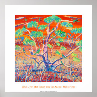 Poster de Arte: Estação Banrock Sunset Mallee Tree