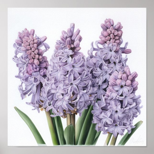 Poster de Arte Flor de lavanda Hyacinne (Frente)
