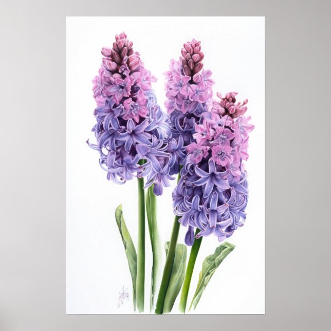 Poster de Arte Flor de lavanda Hyacinne (Frente)
