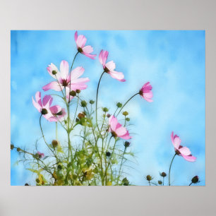 Poster de Arte Floral de Flores Cosmos Rosa