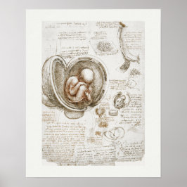 POSTER DE ARTE: LEONARDO DA VINCI : ESTUDO 1510 - 