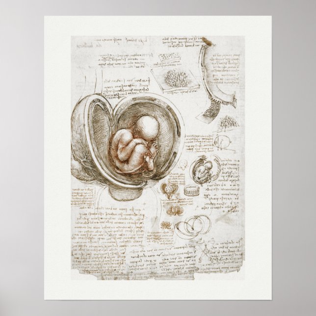 POSTER DE ARTE: LEONARDO DA VINCI : ESTUDO 1510 -  (Frente)