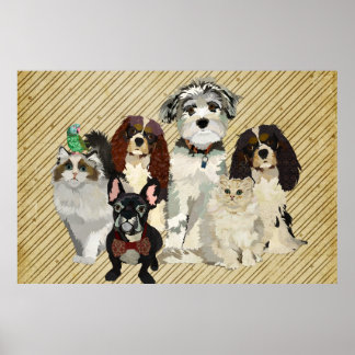 Poster de Artes, Garras e Penas