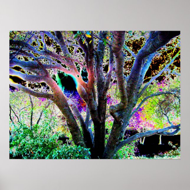 Poster de árvores de fada (Frente)