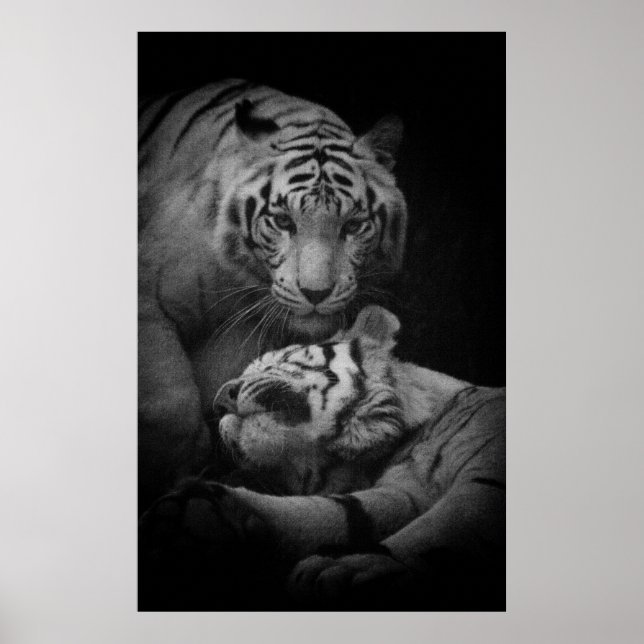 Poster de Assistência Necessária (Frente)