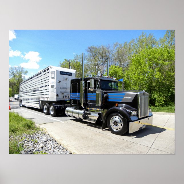 Poster de Augsburger W900L (Frente)