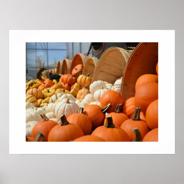 Poster de Autumn Pumpkins (Frente)