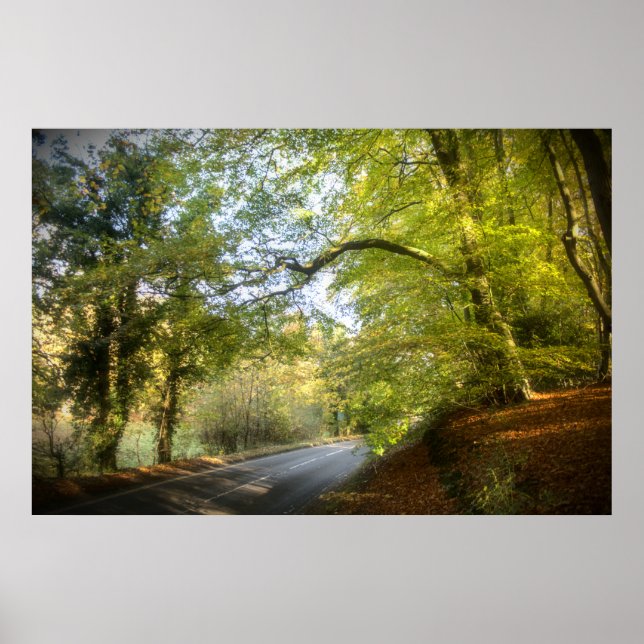 Poster de Autumn Woodland (4316) (Frente)