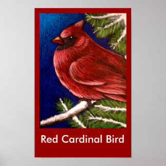POSTER DE AVES CARDINHEIRAS VERMELHAS