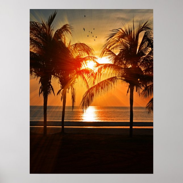 POSTER DE BAIXO TROPICAL 18X24 (Frente)