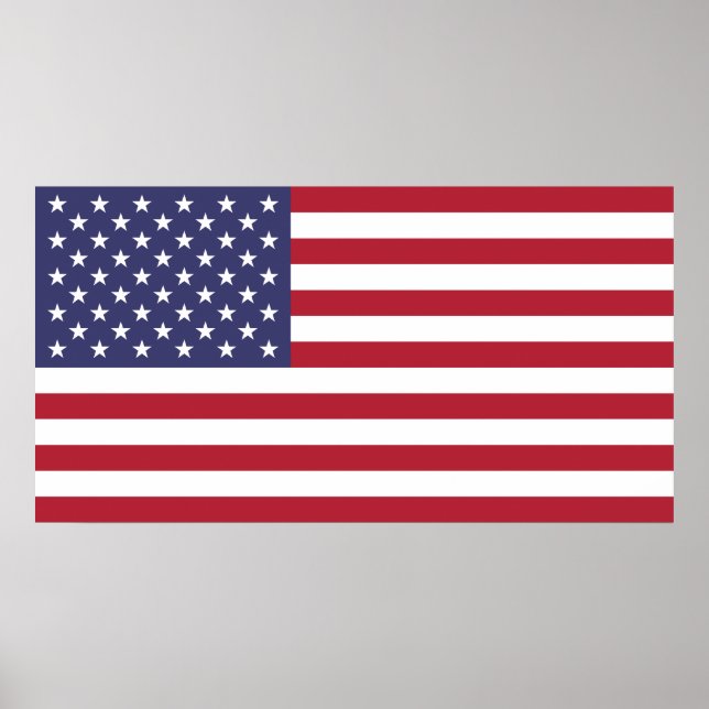 Poster de Bandeira Americana (Frente)