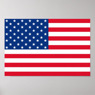 Poster de Bandeira Americana