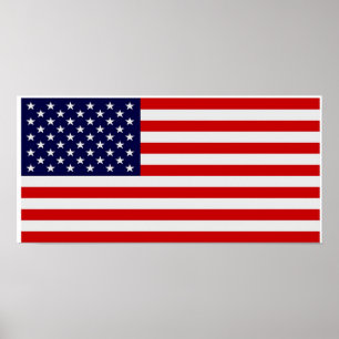 Poster de Bandeira Americana