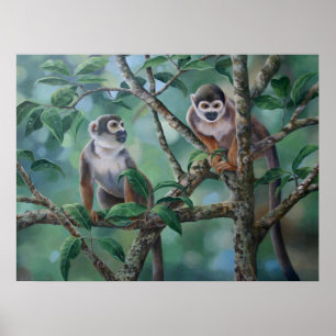 Póster De "bares macaco "