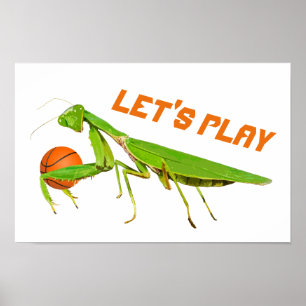 Poster de basquete gigante Green Praying Mantis