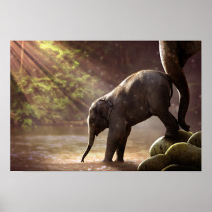 Poster de Bath do Primeiro Elefante do Bebê