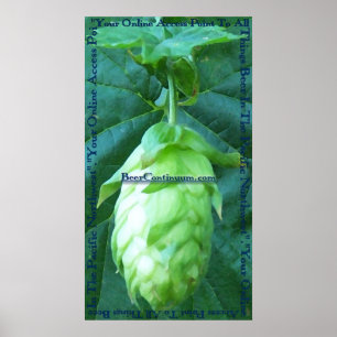 Poster de BeerContinuum