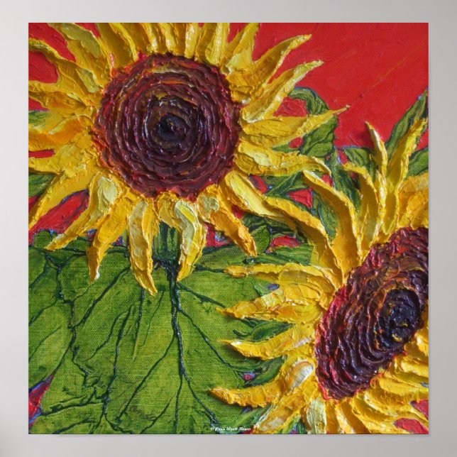 Poster de Belas Aranhas-do-Sol Amarelo (Frente)