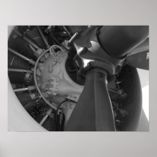 Poster de Beleza Mecânica