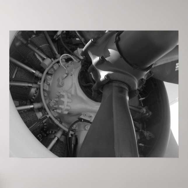 Poster de Beleza Mecânica (Frente)