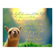 Poster de Bíblia Teal Alpaca Dourada