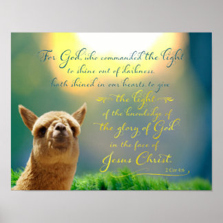 Poster de Bíblia Teal Alpaca Dourada