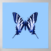 Poster de Borboleta Azul