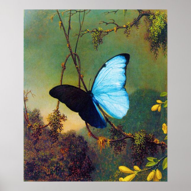Poster de Borboleta Azul Morpho (Frente)