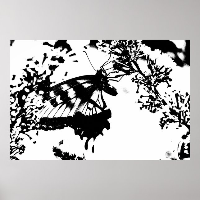 Poster de borboleta branca e preta (Frente)