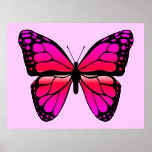 Poster de Borboleta Rosa