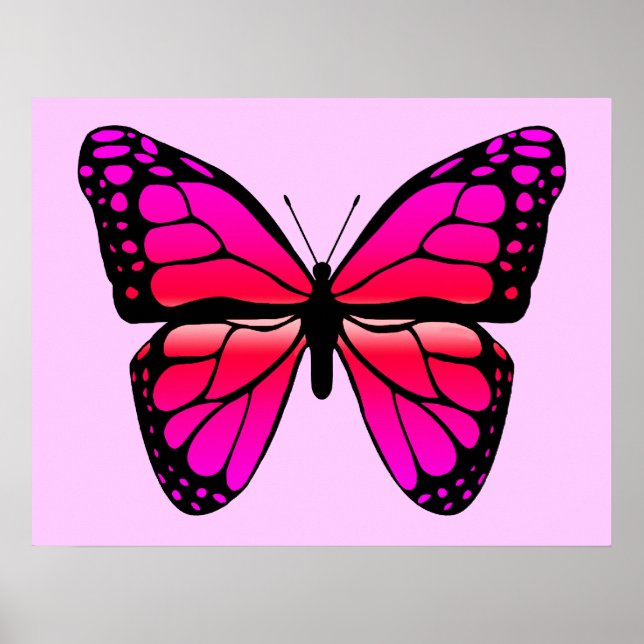 Poster de Borboleta Rosa (Frente)