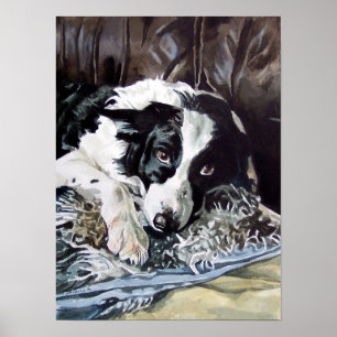 Poster de border collie