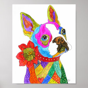 Poster de Boston Terrier, bonita e colorida - 8"x