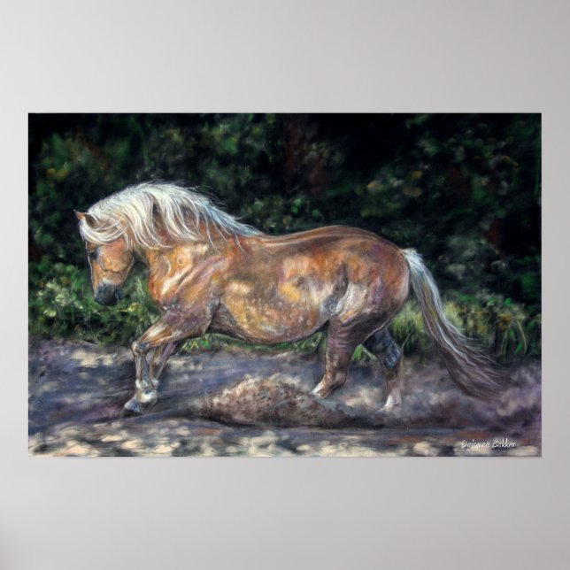 Poster de brisa noturna (Frente)