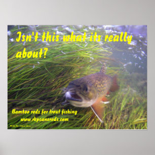 Poster de Brookie