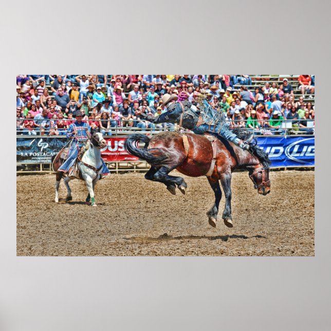 Poster de Bucking Bronco (Frente)