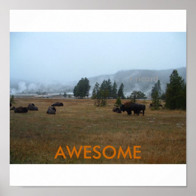 Poster de Buffalo Incrível (Frente)