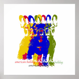 Poster de buldogue americano