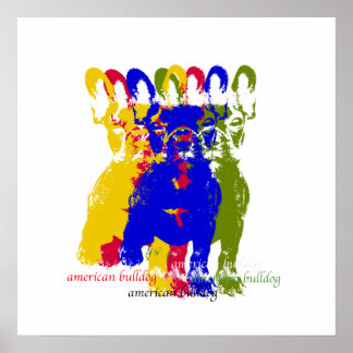 Poster de buldogue americano